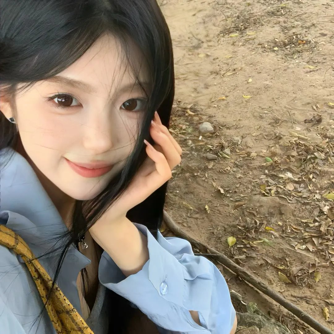 摇滚藏獒:乘风破浪